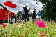 Kirkholt & Balderstone In Bloom