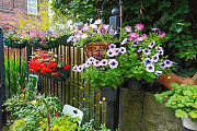 Edenfield Road alley gate scheme